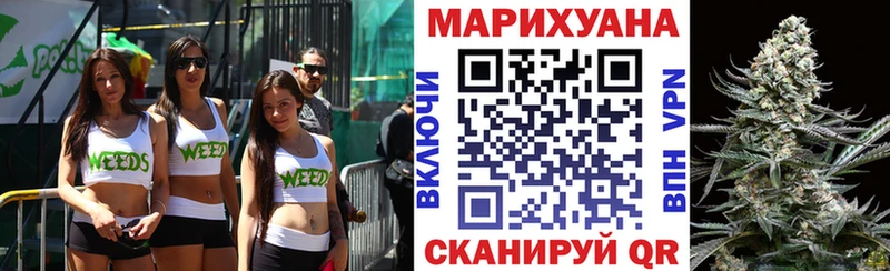 Каннабис план  цена наркотик  Новотитаровская 